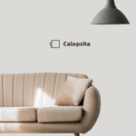 SUV.CALOPSITA.C