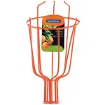 COLHEDOR DE FRUTA.webp